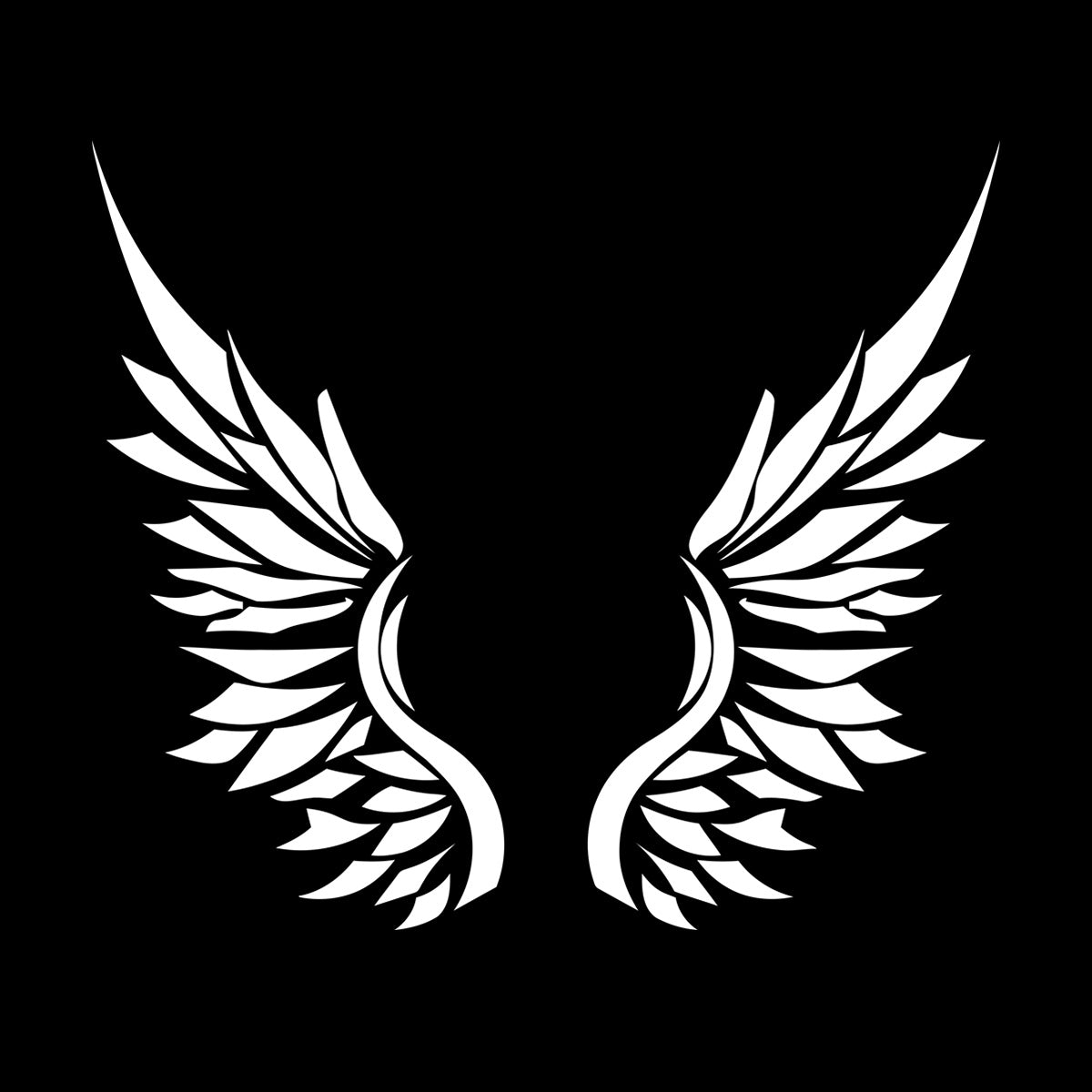 Wings Angel Bird Feathers Wall Vinyl Sticker Decor Art Mural Painting