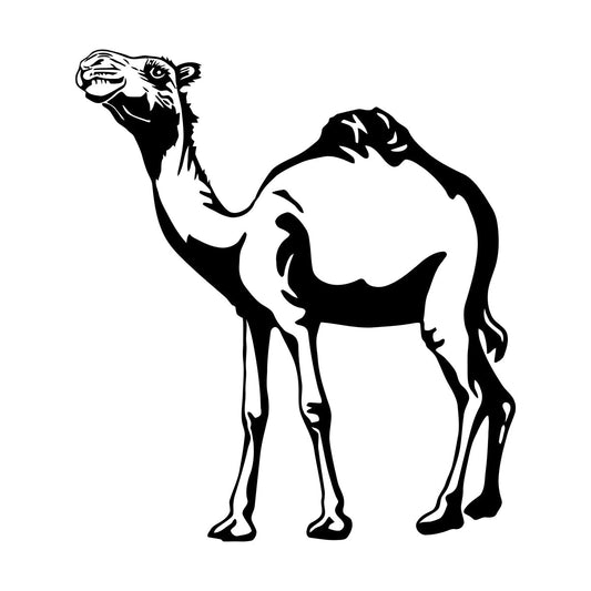 Lettering Stickers Africa Camel Zoo Desert Animals Easy Installation