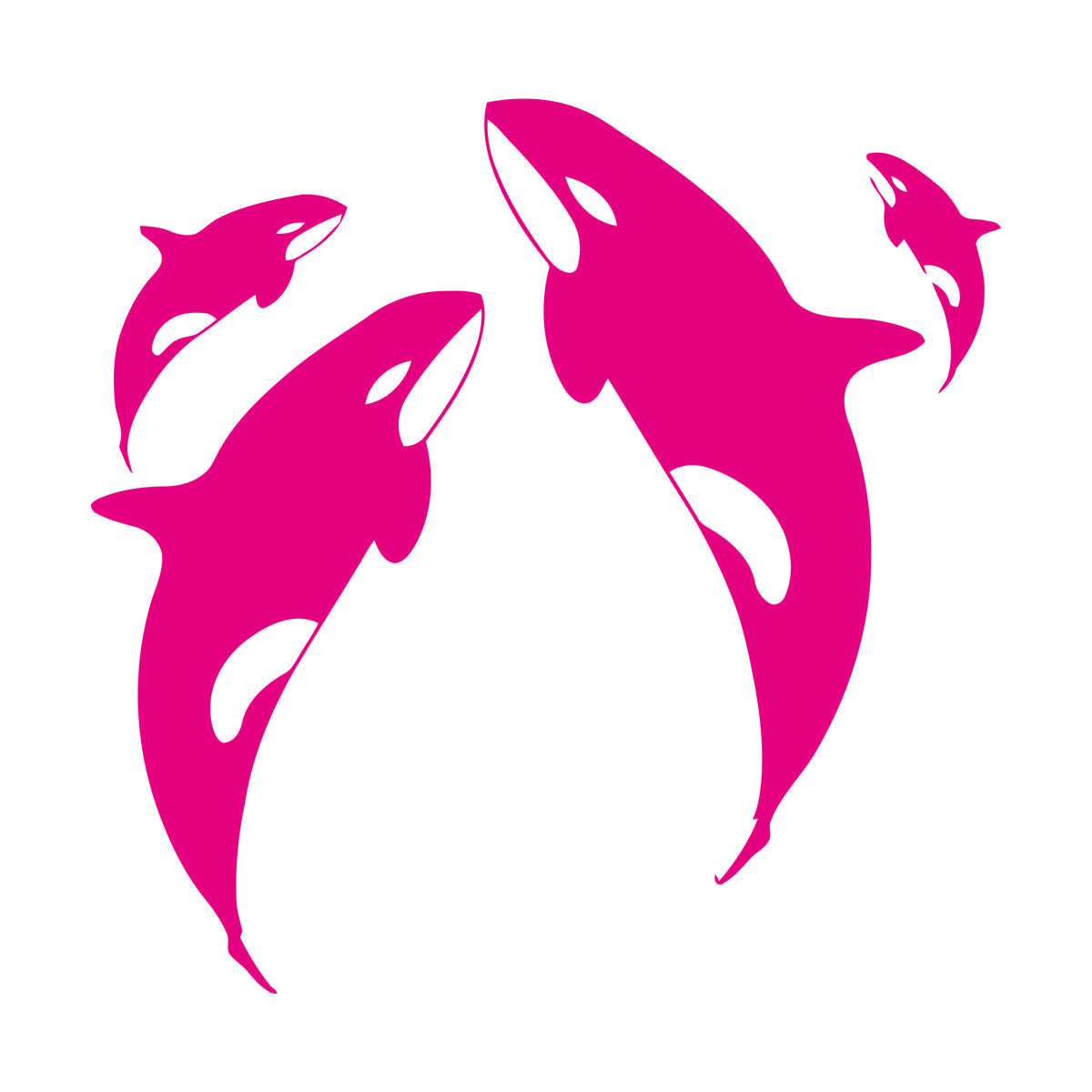 Wall Decals Pvc Whale Ocean Marine Animals Sea Do Not Damage The Wall Surface