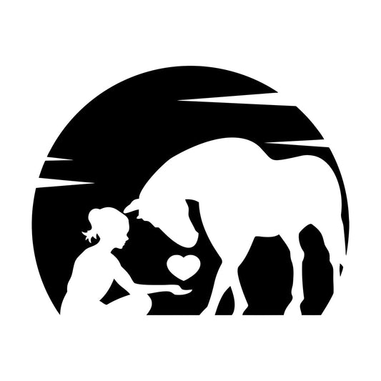 Wall Vinyl Sticker Decor Abstract Beautiful Horse Girl Animals Heart Love Waterproof