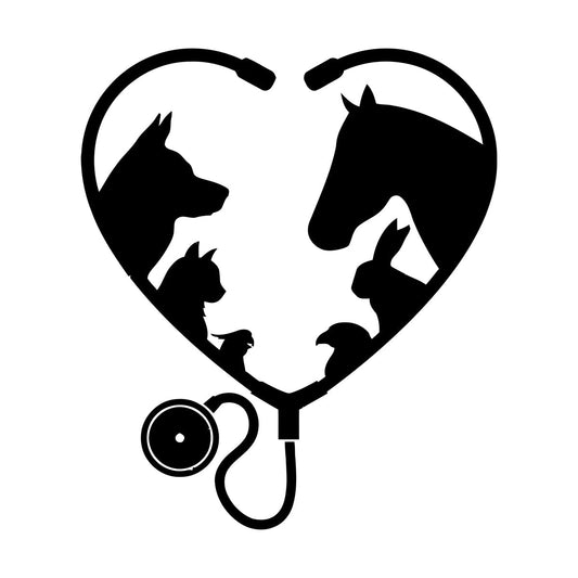 Vinyl Wall Decals Animal Pet Veterinary Medicine Art Decoration