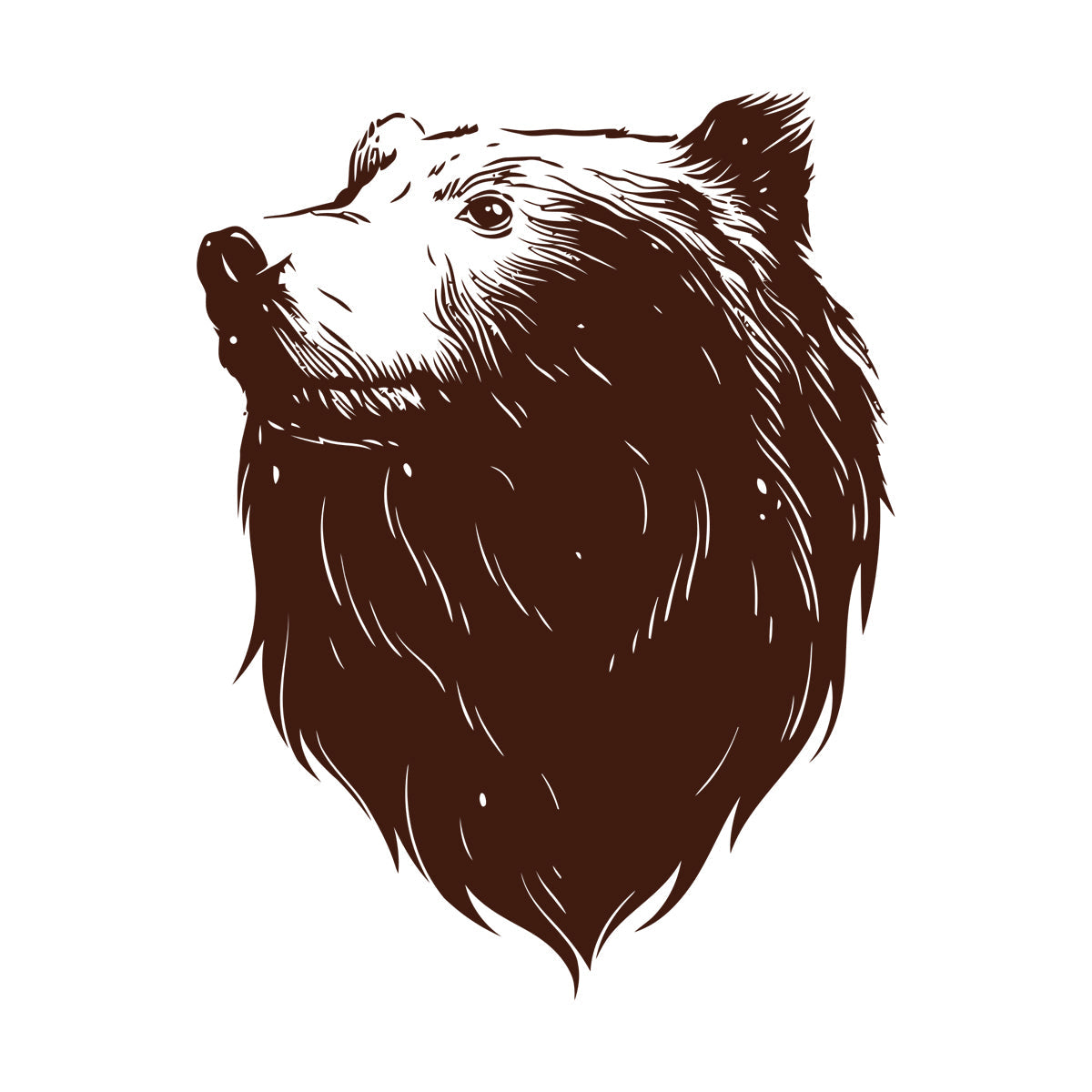 Wall Decals Pvc Bear Head Grizzly Wild Animal Urban Car Body Decoration