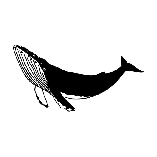Big Blue Whale Nautical Sea Animal Nursery Vinyl Wall Stickers Can Modify And Add Information