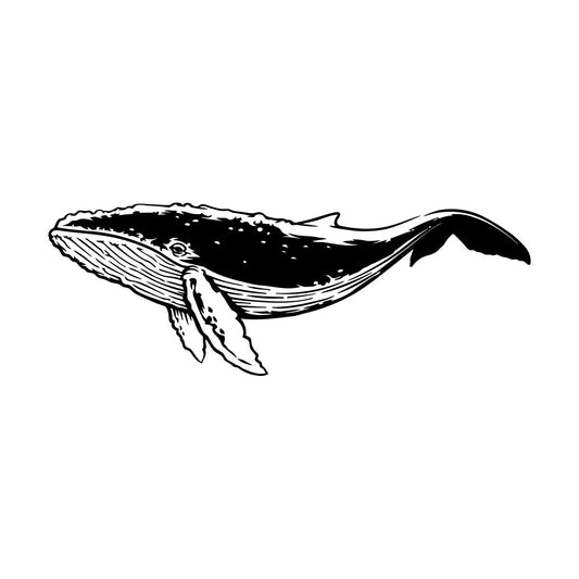 Wall Stickers Paster Paper Big Whale Sea Ocean Animal Marine Glass Stickers