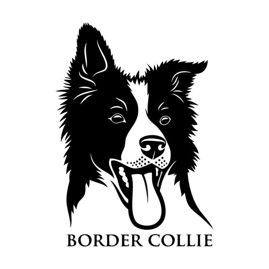 Engraving Decals Border Collie Shepherd Dog Home Pet Animal Head Can Modify And Add Information