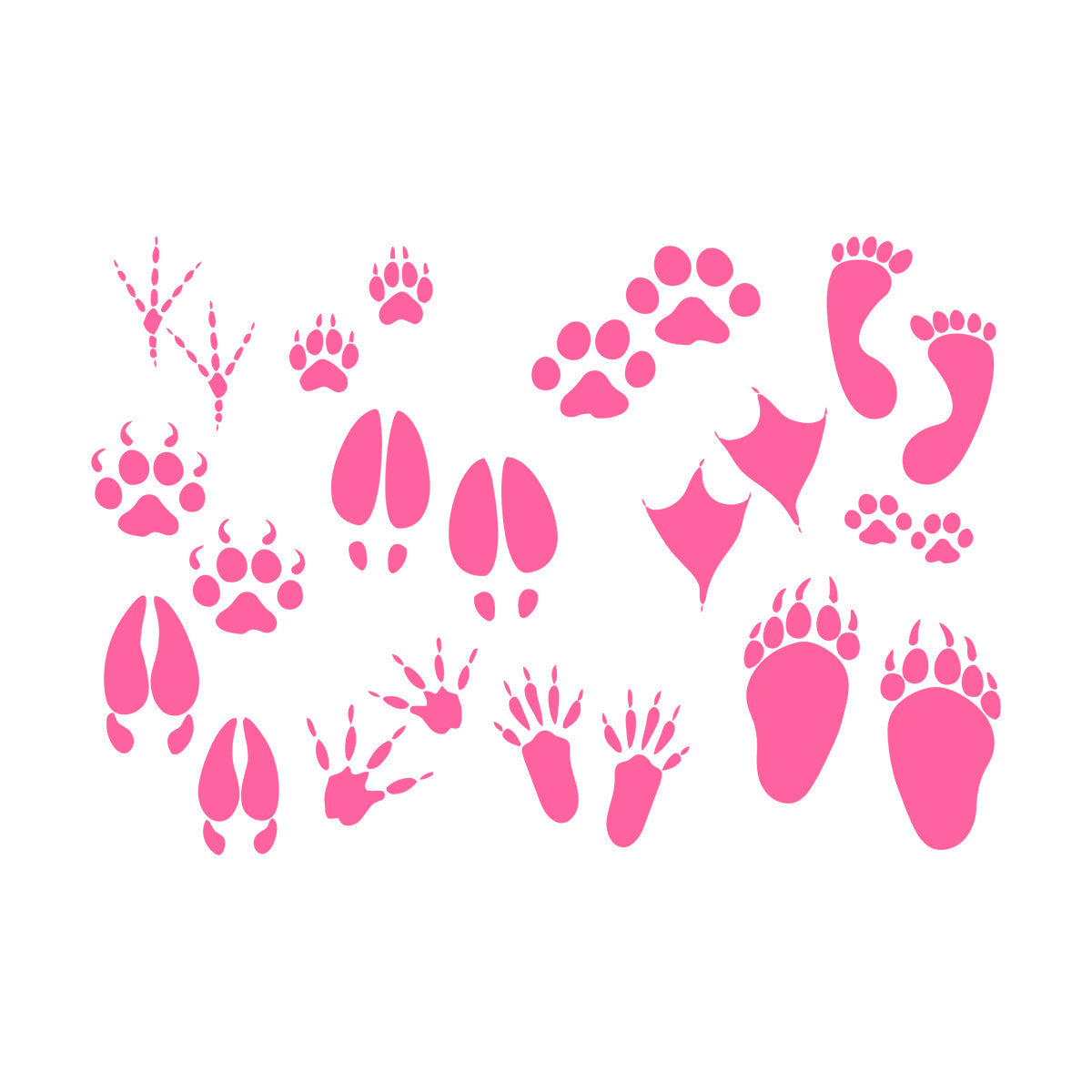 Foot Print Traces Of Animals Birds Pets Shop Engraving Decals Equipped With Transfer Film Kit