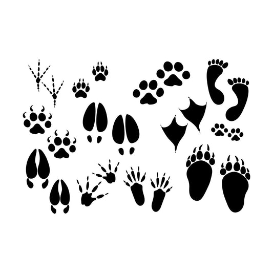 Foot Print Traces Of Animals Birds Pets Shop Engraving Decals Equipped With Transfer Film Kit