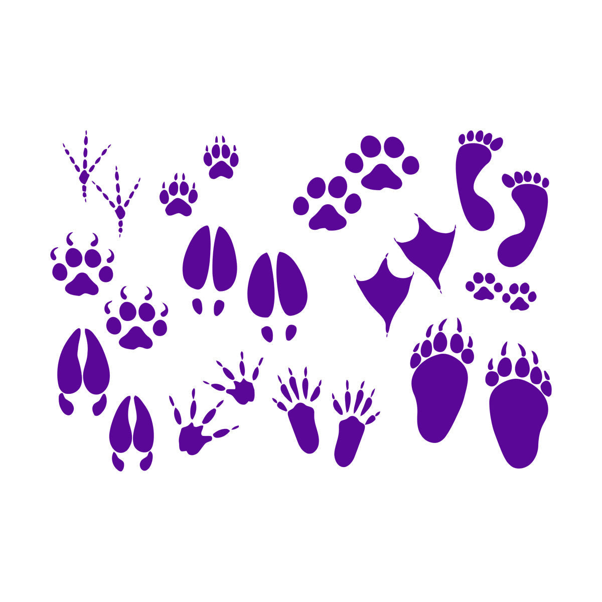 Foot Print Traces Of Animals Birds Pets Shop Engraving Decals Equipped With Transfer Film Kit