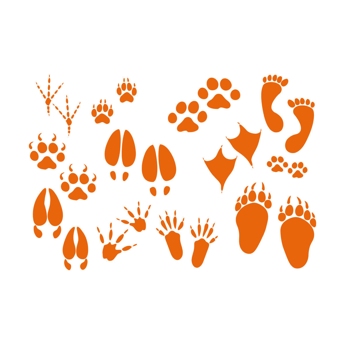 Foot Print Traces Of Animals Birds Pets Shop Engraving Decals Equipped With Transfer Film Kit
