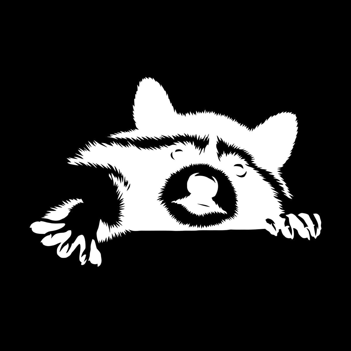 Wall Decals Funny Animal Raccoon Head Rodent Pet Tattoo Culture