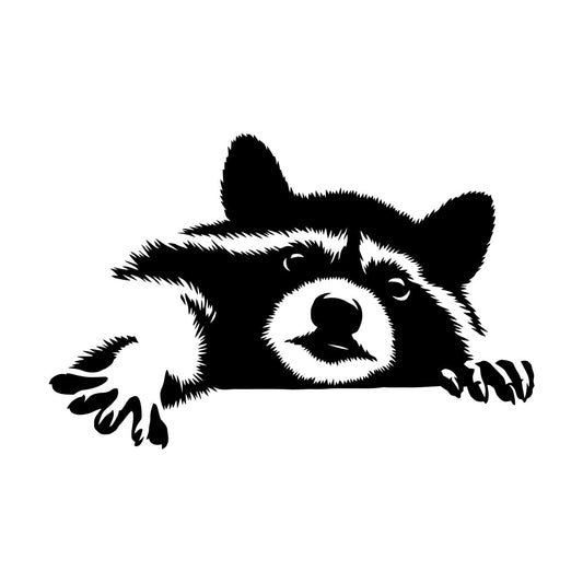 Wall Decals Funny Animal Raccoon Head Rodent Pet Tattoo Culture