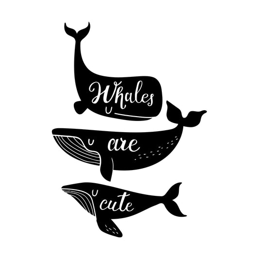 Ocean Sea Animals Phrase Whales Are Cute Vinyl Art Sticker Store Decoration
