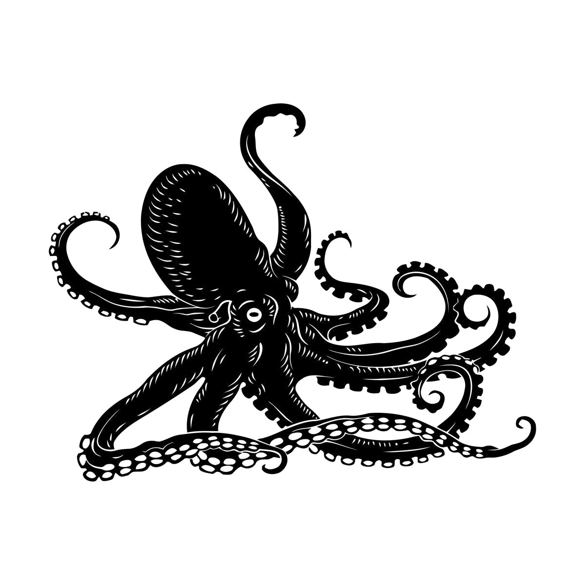 Octopus Kraken Ocean Marine Animals Bathroom Mural And Wall Vinyl Decal Waterproof