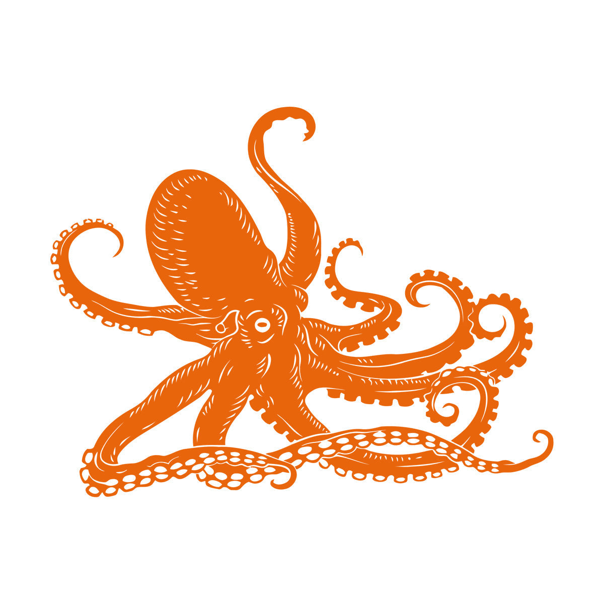 Octopus Kraken Ocean Marine Animals Bathroom Mural And Wall Vinyl Decal Waterproof