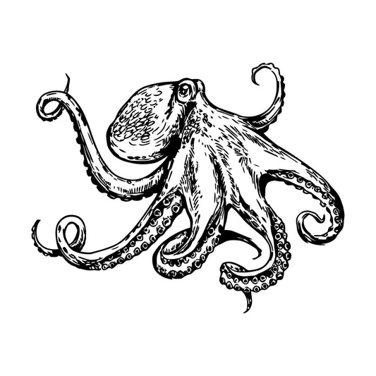 Vinyl Wall Decals Octopus Shellfish Sea Animal Ocean Style Multi Color Selection