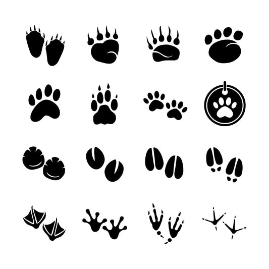 Fine Carving Stickers Pet Shop Animals Paw Prints Patterns Tattoo Culture