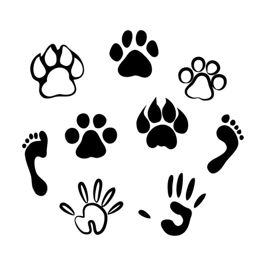 Wall Stickers Pets Traces People Paws Prints Friendly Animals Glass Stickers