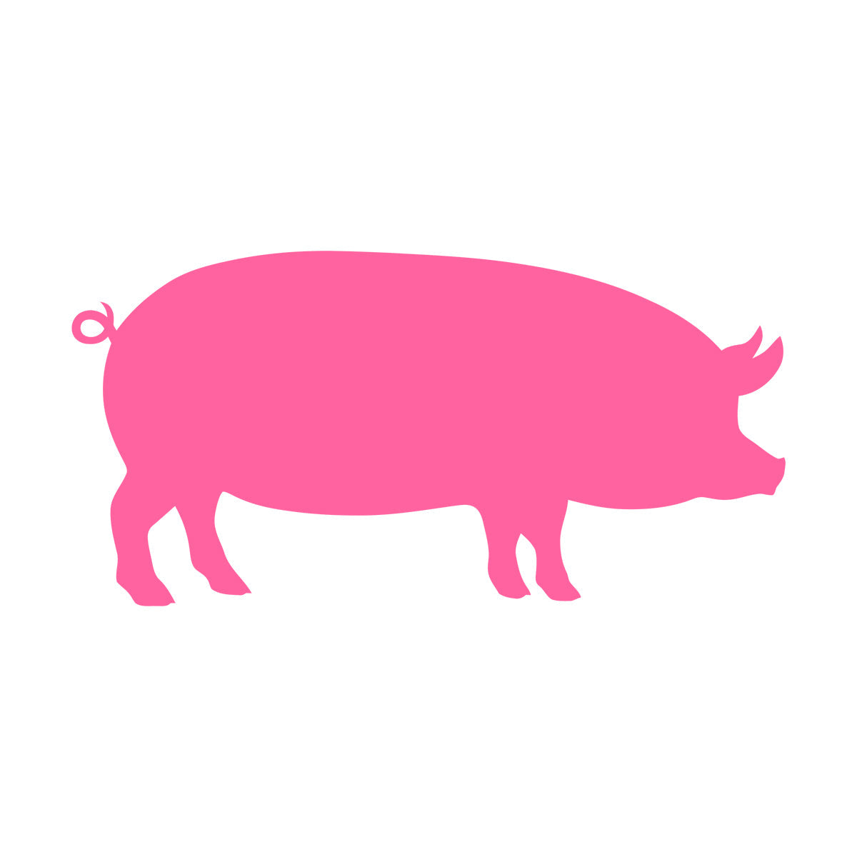 Lettering Stickers Pig Butcher Shop Piggy Animal Farm Wild Boar Multi Color Selection