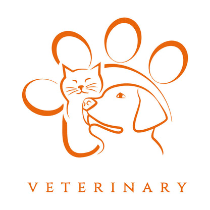 Lettering Decals Veterinary Medicine Animal Pet Art Mural Painting