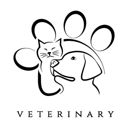 Lettering Decals Veterinary Medicine Animal Pet Art Mural Painting