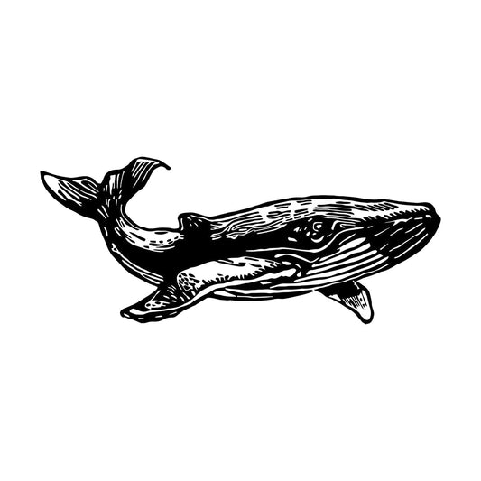 Wall Decals Whale Marine Animal Ocean Ation Can Modify And Add Information