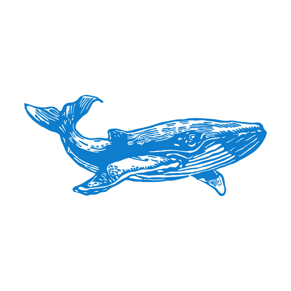 Wall Decals Whale Marine Animal Ocean Ation Can Modify And Add Information
