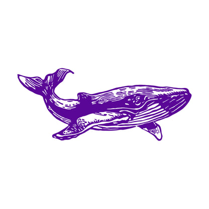 Wall Decals Whale Marine Animal Ocean Ation Can Modify And Add Information