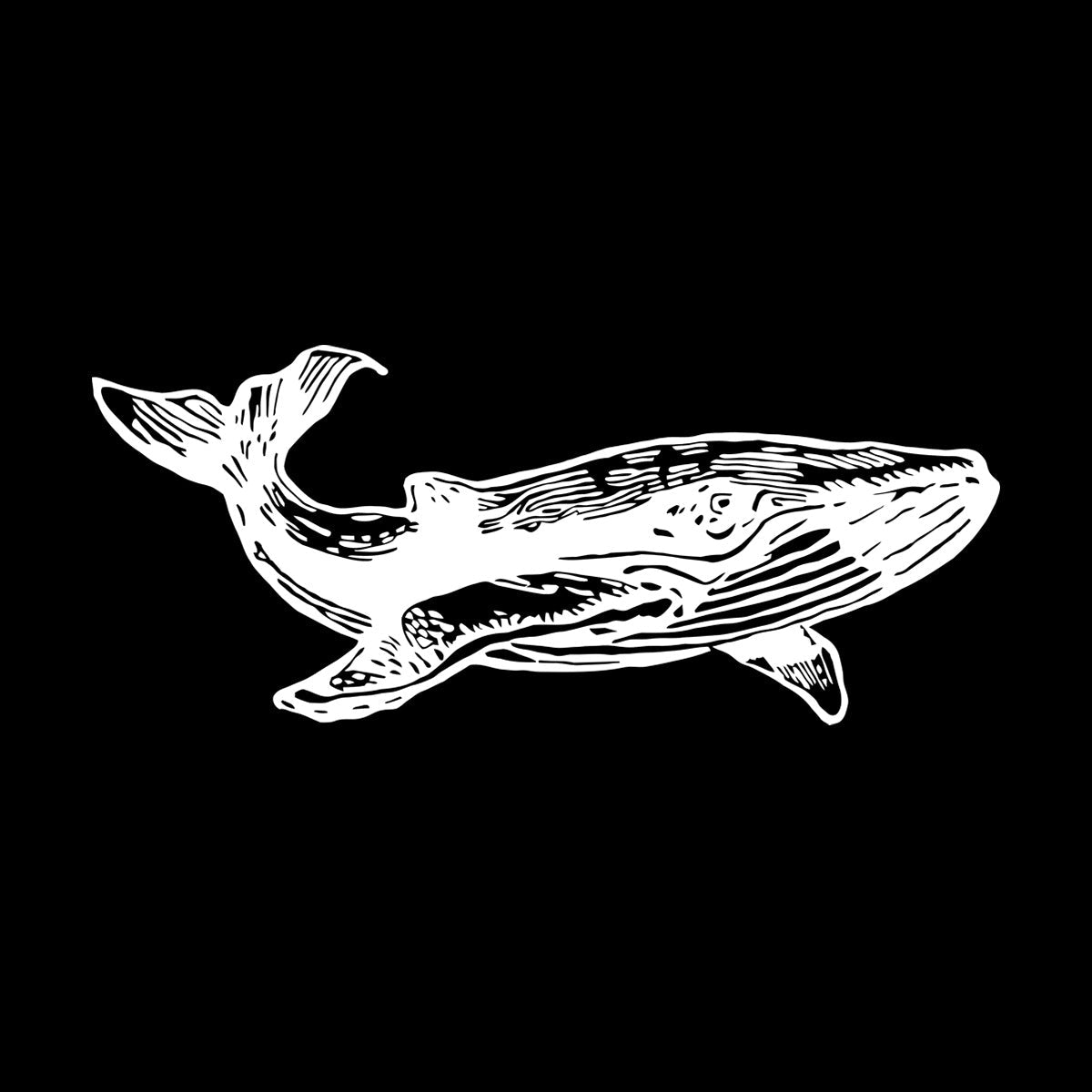 Wall Decals Whale Marine Animal Ocean Ation Can Modify And Add Information