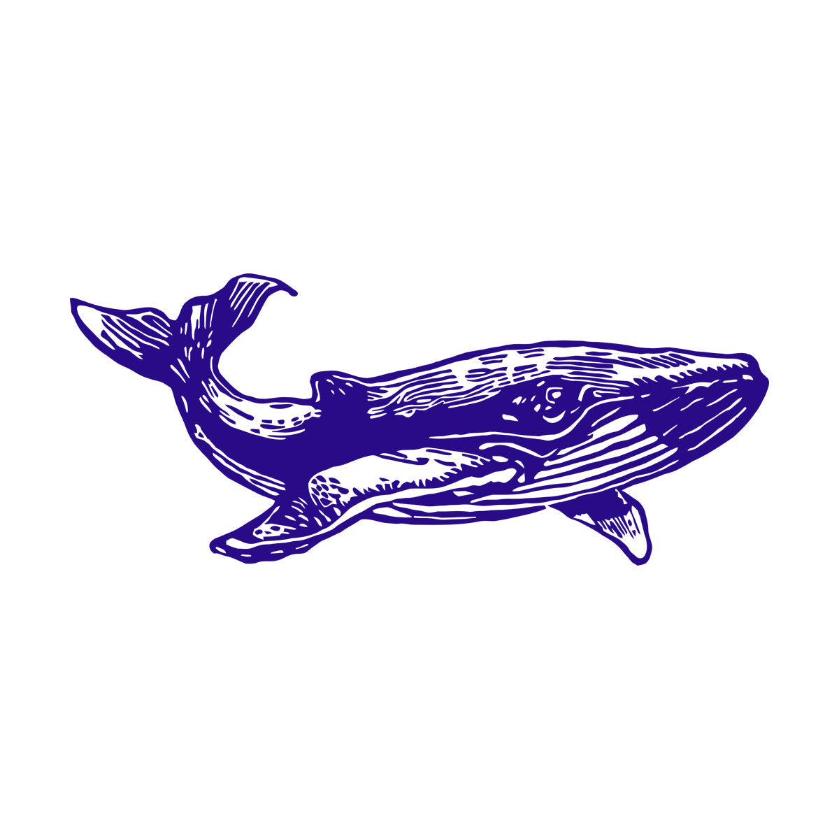 Wall Decals Whale Marine Animal Ocean Ation Can Modify And Add Information