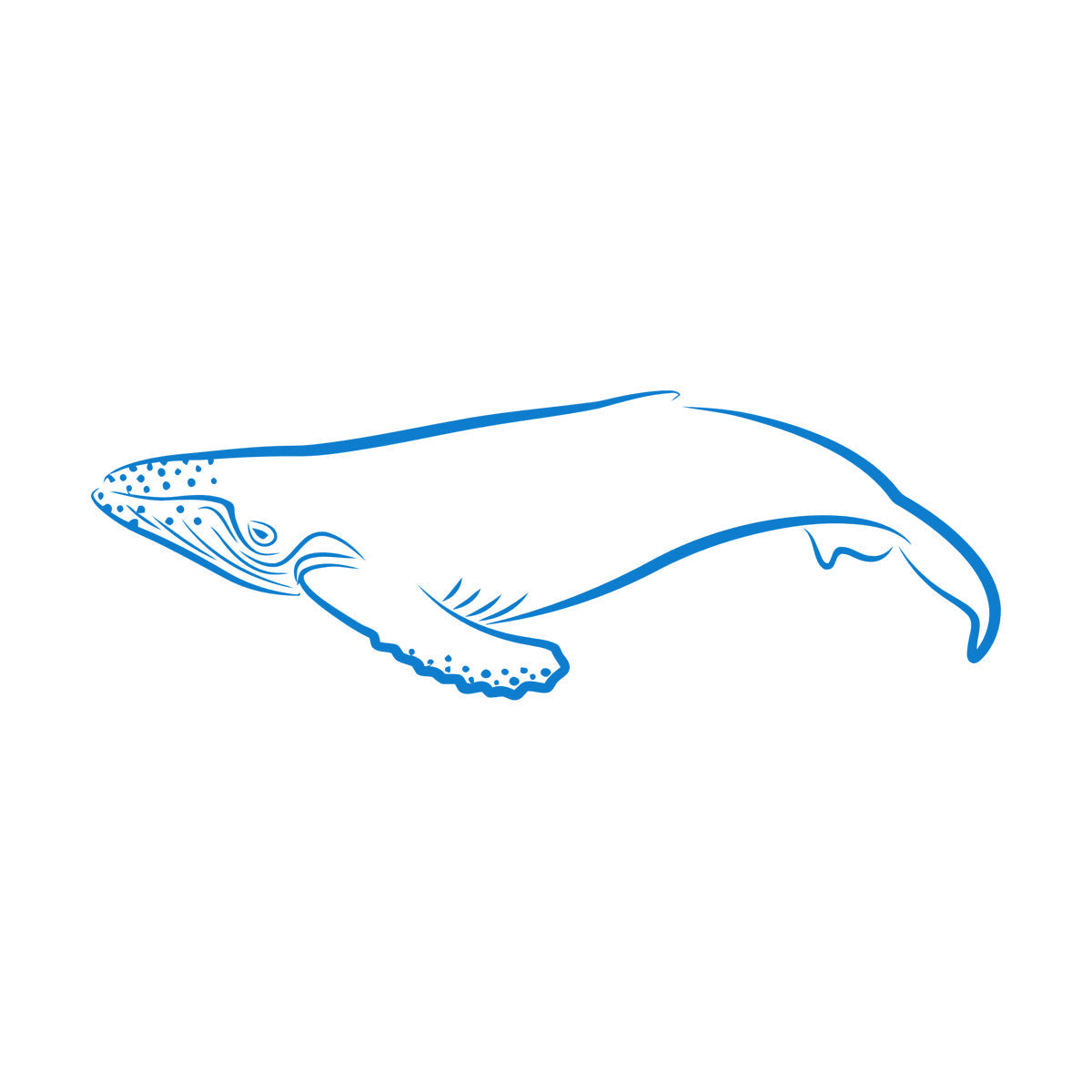 Lettering Decals Animals Fish Whale Sea Ocean Equipped With Transfer Film Kit