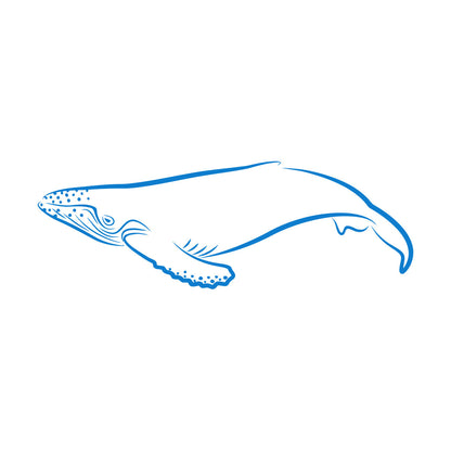 Lettering Decals Animals Fish Whale Sea Ocean Equipped With Transfer Film Kit