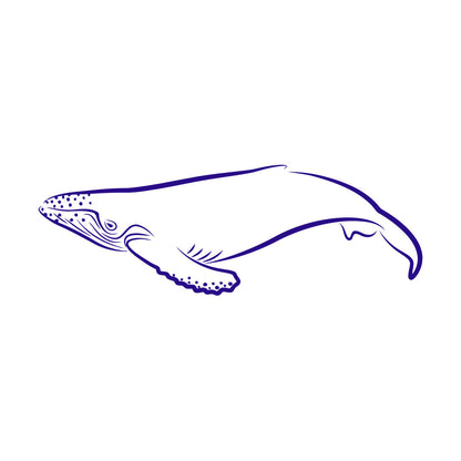 Lettering Decals Animals Fish Whale Sea Ocean Equipped With Transfer Film Kit