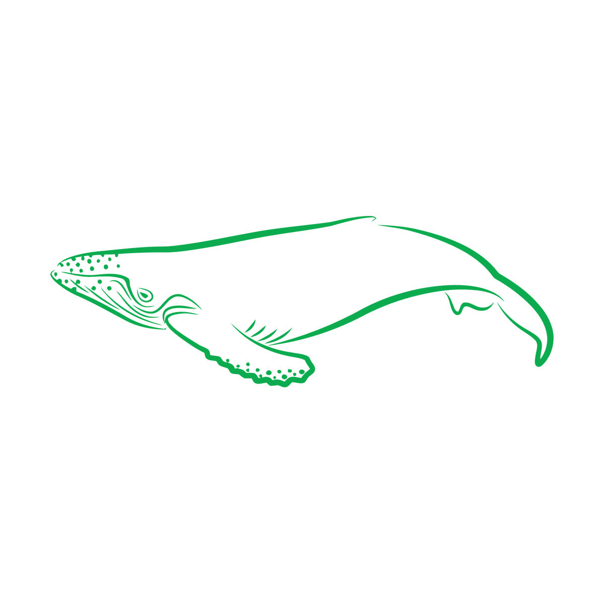 Lettering Decals Animals Fish Whale Sea Ocean Equipped With Transfer Film Kit