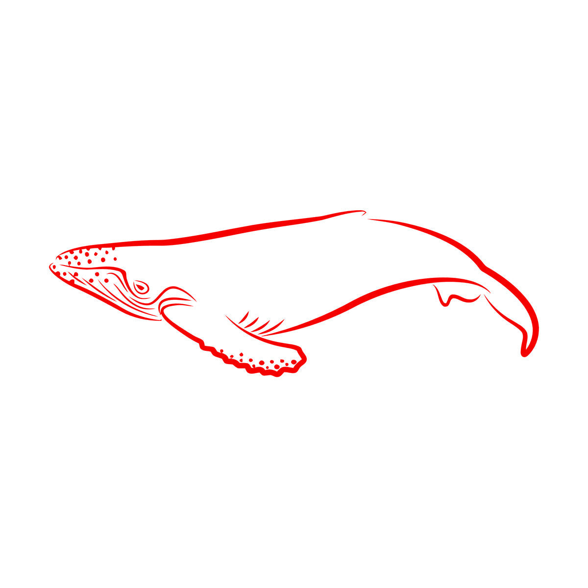 Lettering Decals Animals Fish Whale Sea Ocean Equipped With Transfer Film Kit