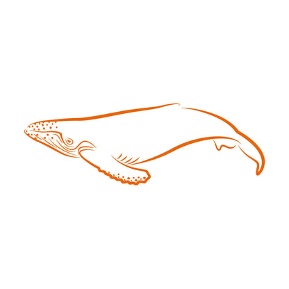 Lettering Decals Animals Fish Whale Sea Ocean Equipped With Transfer Film Kit