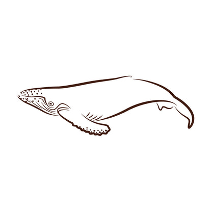 Lettering Decals Animals Fish Whale Sea Ocean Equipped With Transfer Film Kit