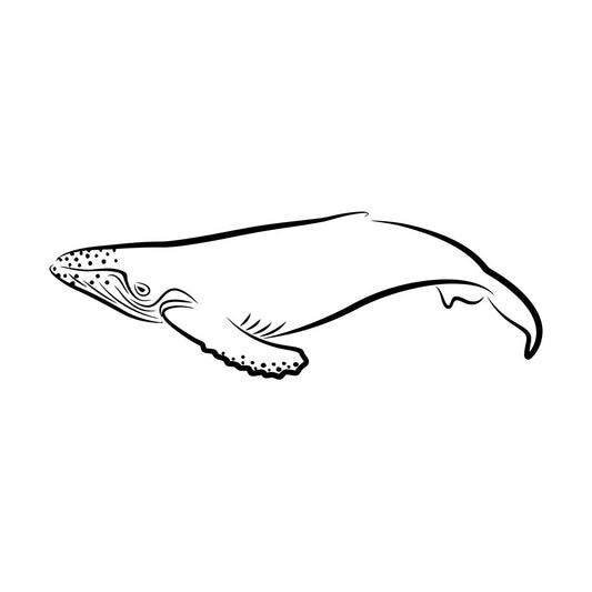 Lettering Decals Animals Fish Whale Sea Ocean Equipped With Transfer Film Kit