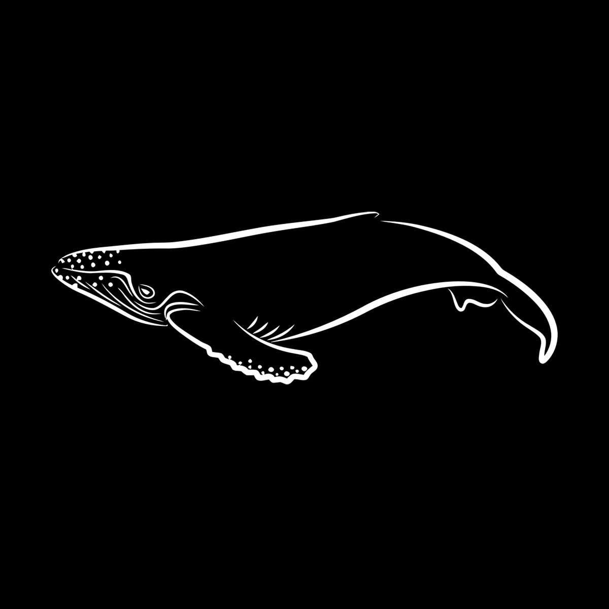 Lettering Decals Animals Fish Whale Sea Ocean Equipped With Transfer Film Kit