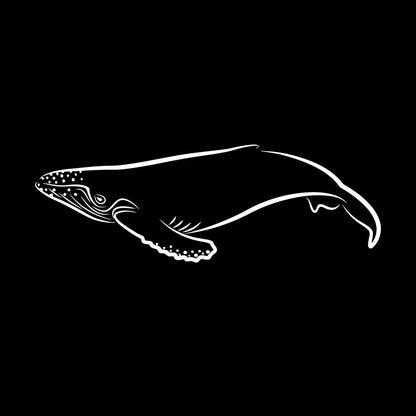 Lettering Decals Animals Fish Whale Sea Ocean Equipped With Transfer Film Kit