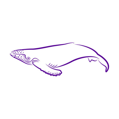 Lettering Decals Animals Fish Whale Sea Ocean Equipped With Transfer Film Kit