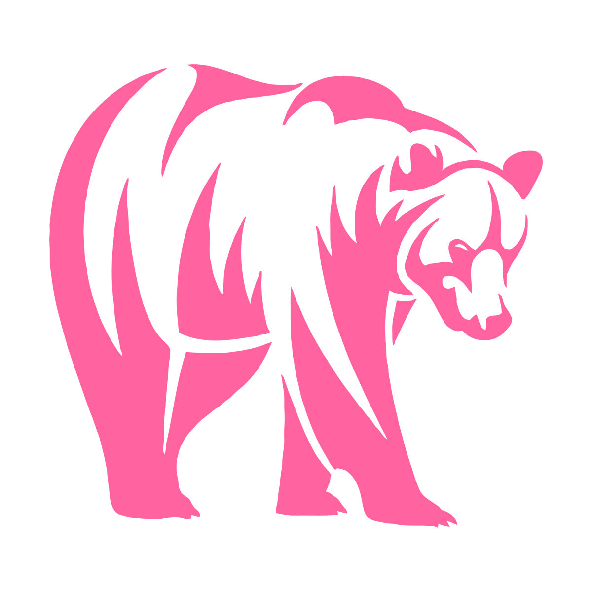 Engraving Decals Brown Bear Animal Predator Taiga Forest Strong Waterproof