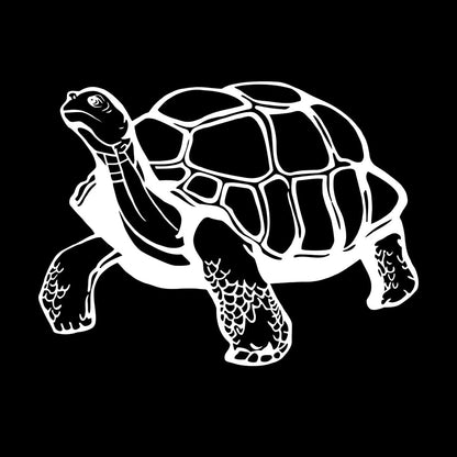 Mural And Wall Vinyl Decal Turtle Animal Window Decals