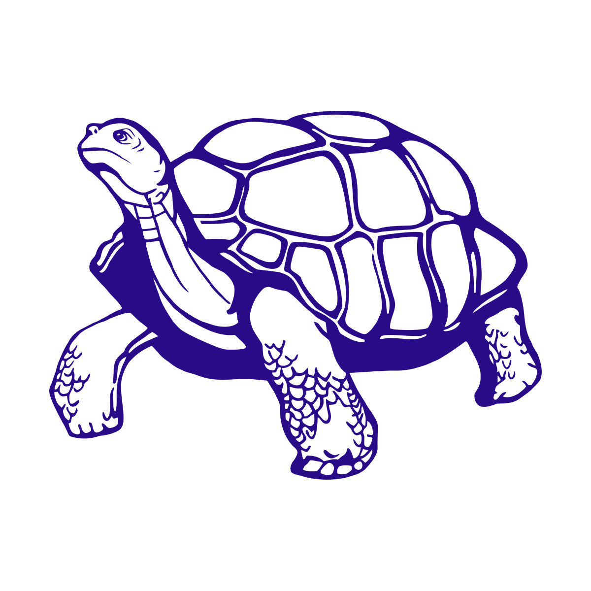 Mural And Wall Vinyl Decal Turtle Animal Window Decals