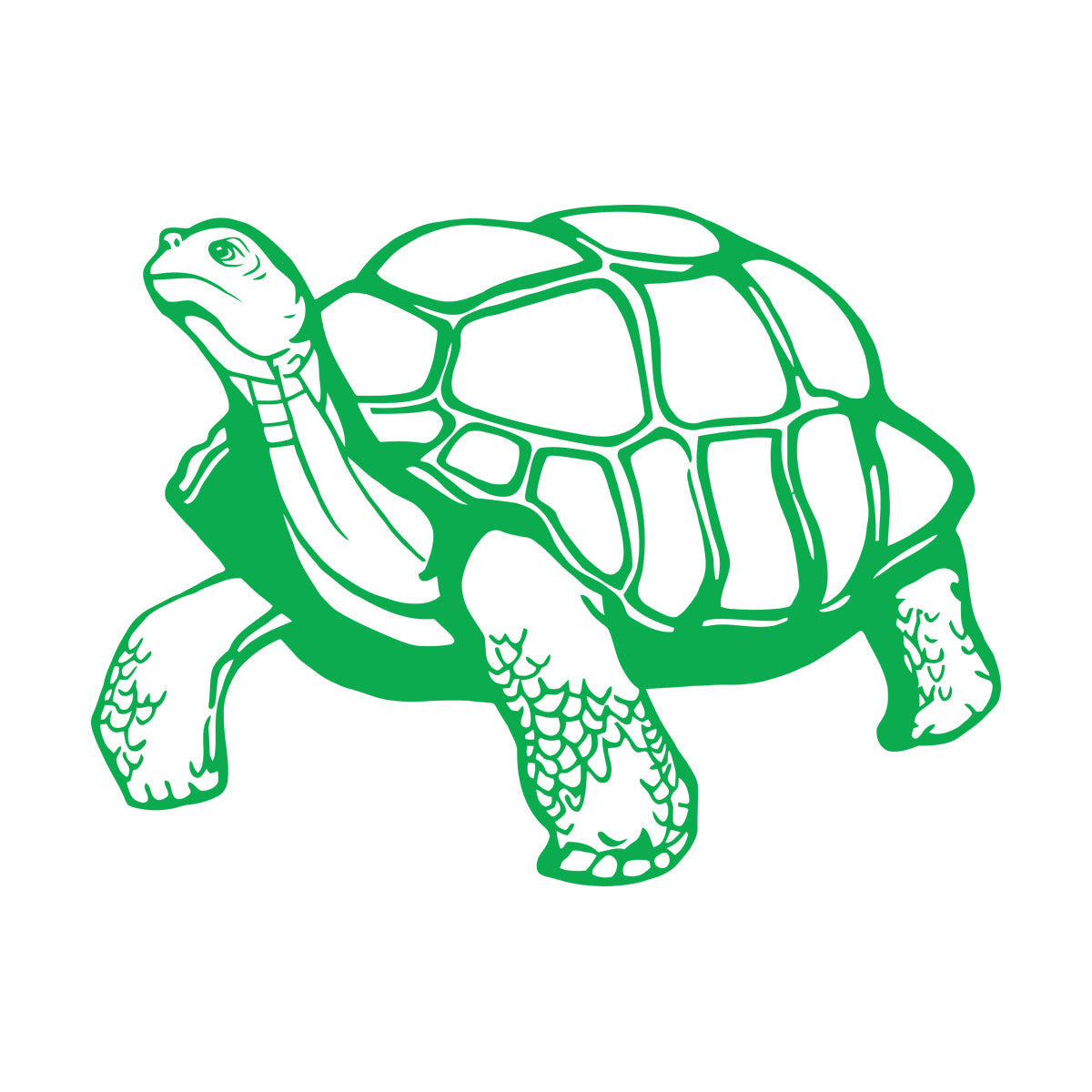 Mural And Wall Vinyl Decal Turtle Animal Window Decals