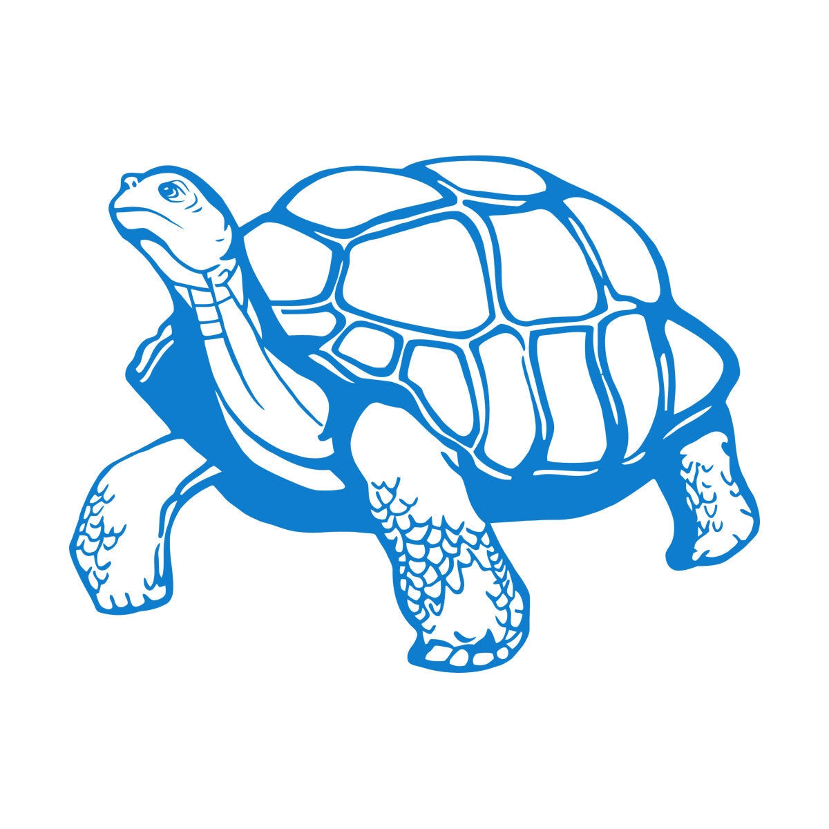 Mural And Wall Vinyl Decal Turtle Animal Window Decals