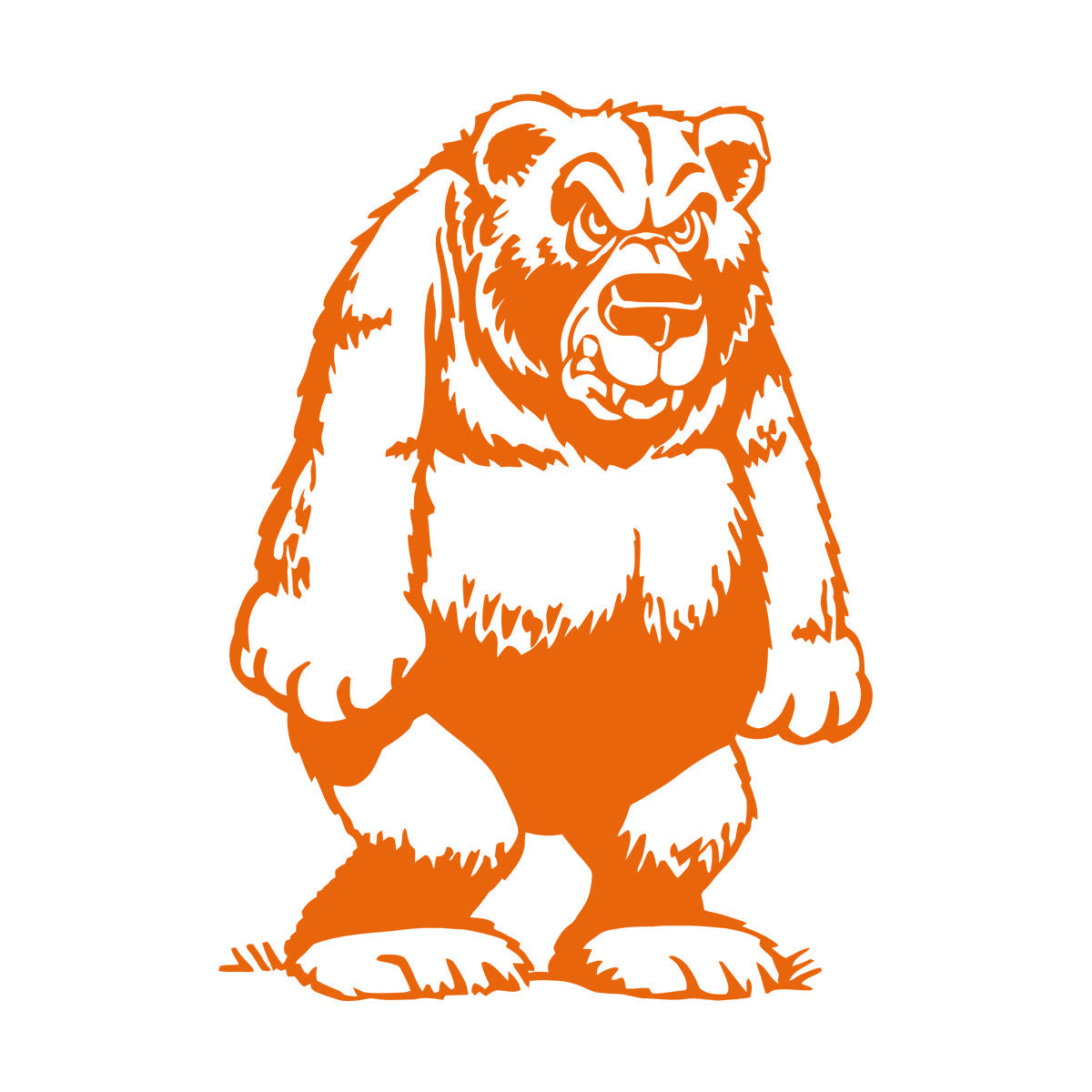 Engraving Stickers Funny Grizzly Bear Animal Kids Multi Color Selection