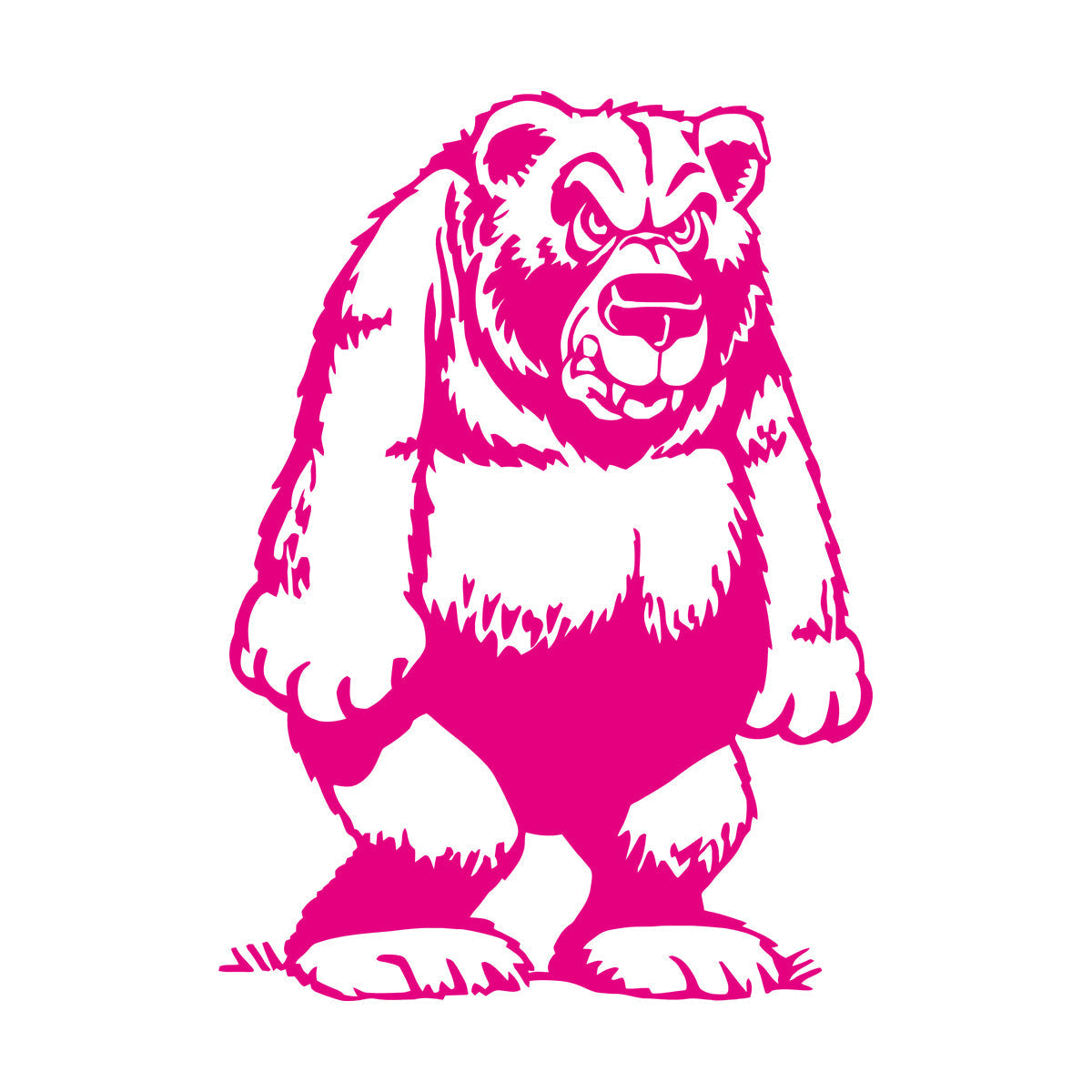 Engraving Stickers Funny Grizzly Bear Animal Kids Multi Color Selection