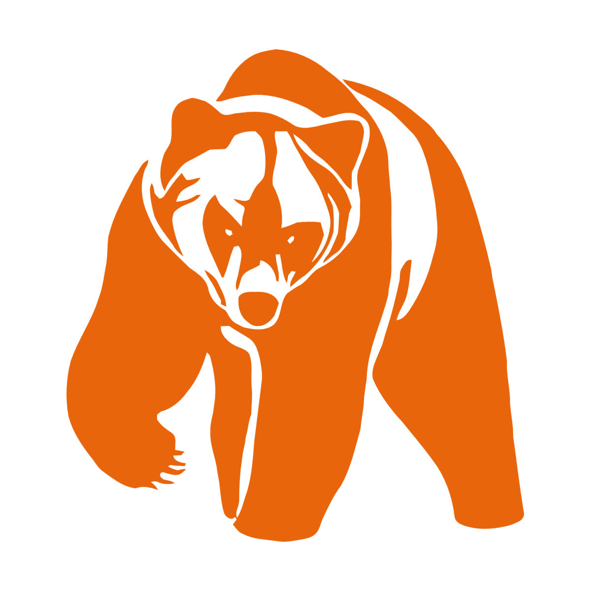 Vinyl Wall Stickers Grizzly Bear Animal Predator Waterproof