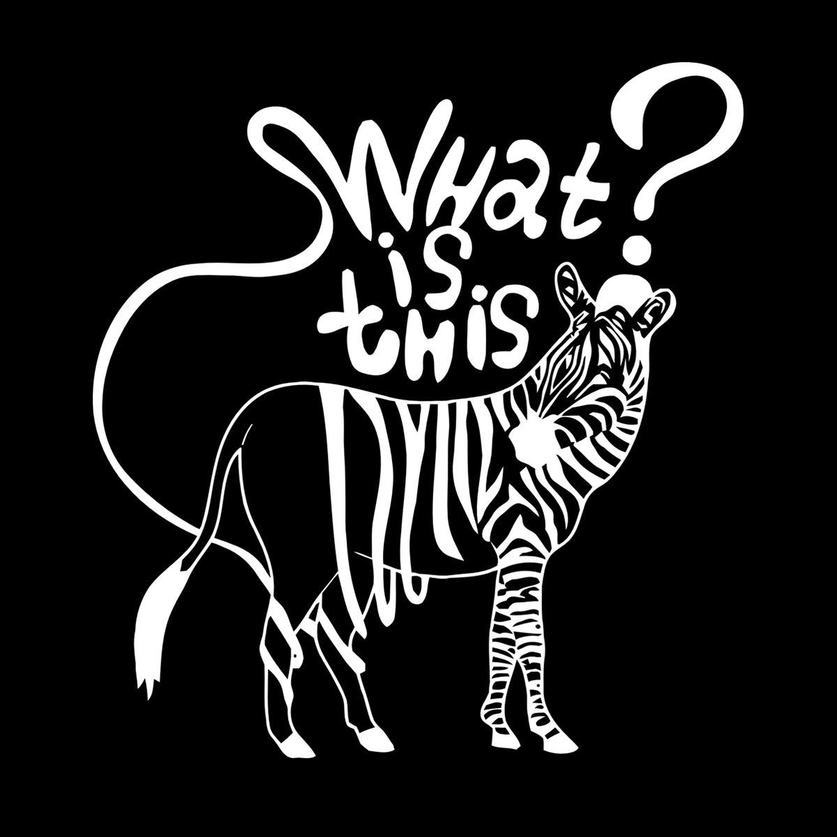 Joke Funny Zebra Animals Kids Fine Carving Decals Store Decoration