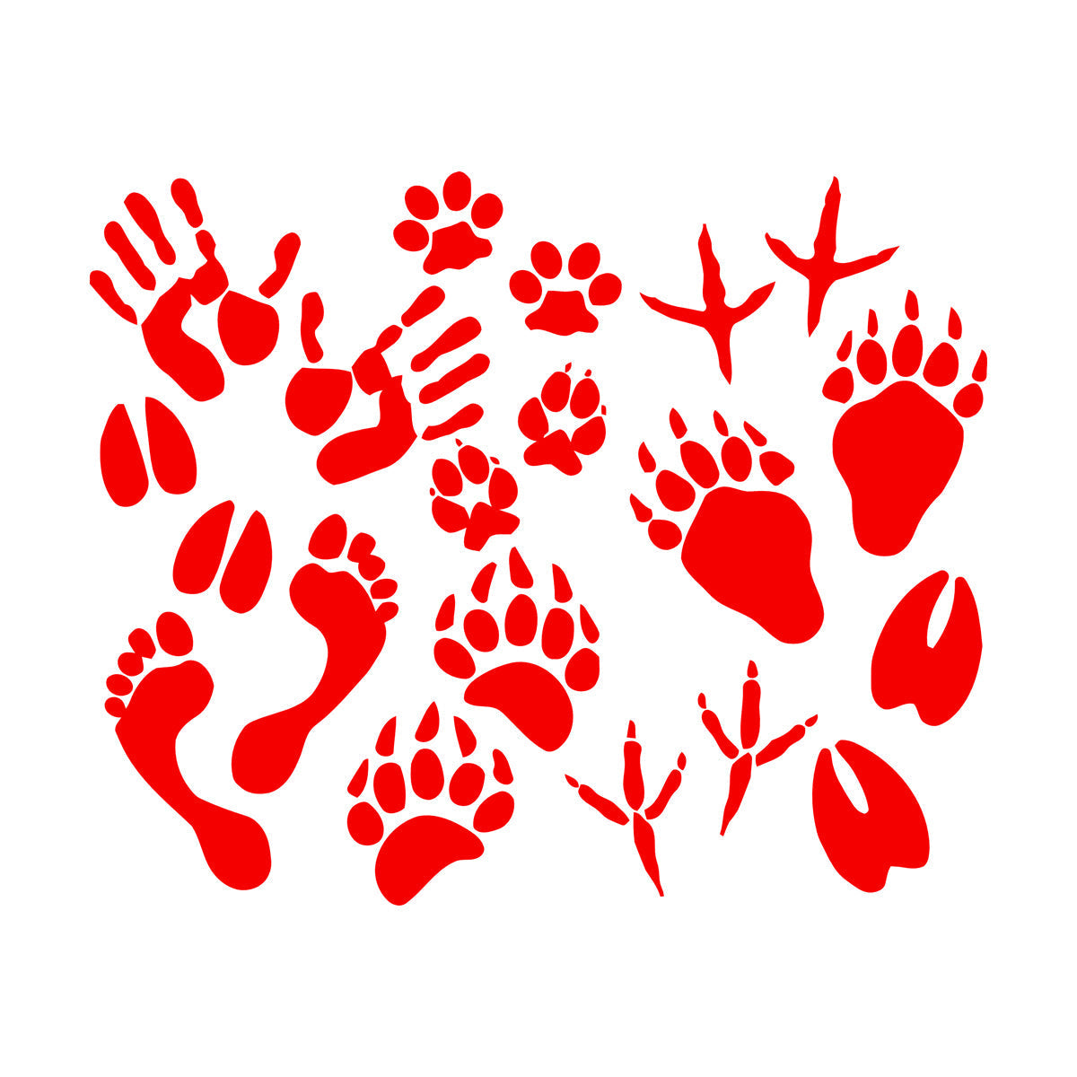 Vinyl Wall Decals Paw Prints Hand Animal Pet Kids Equipped With Transfer Film Kit